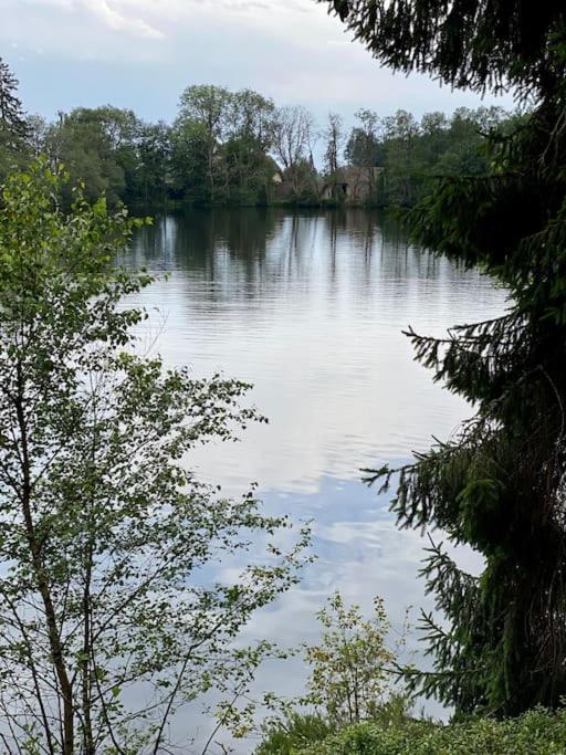Exklusive 82 Qm Loftwohnung Mit Tiefgarage Und Sued-Balkon Zentral Titisee-Neustadt Luaran gambar