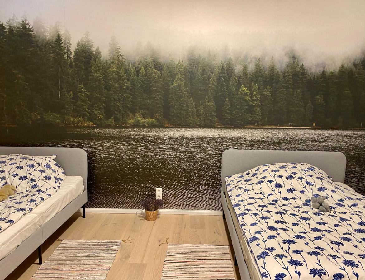 Exklusive 82 Qm Loftwohnung Mit Tiefgarage Und Sued-Balkon Zentral Titisee-Neustadt Luaran gambar
