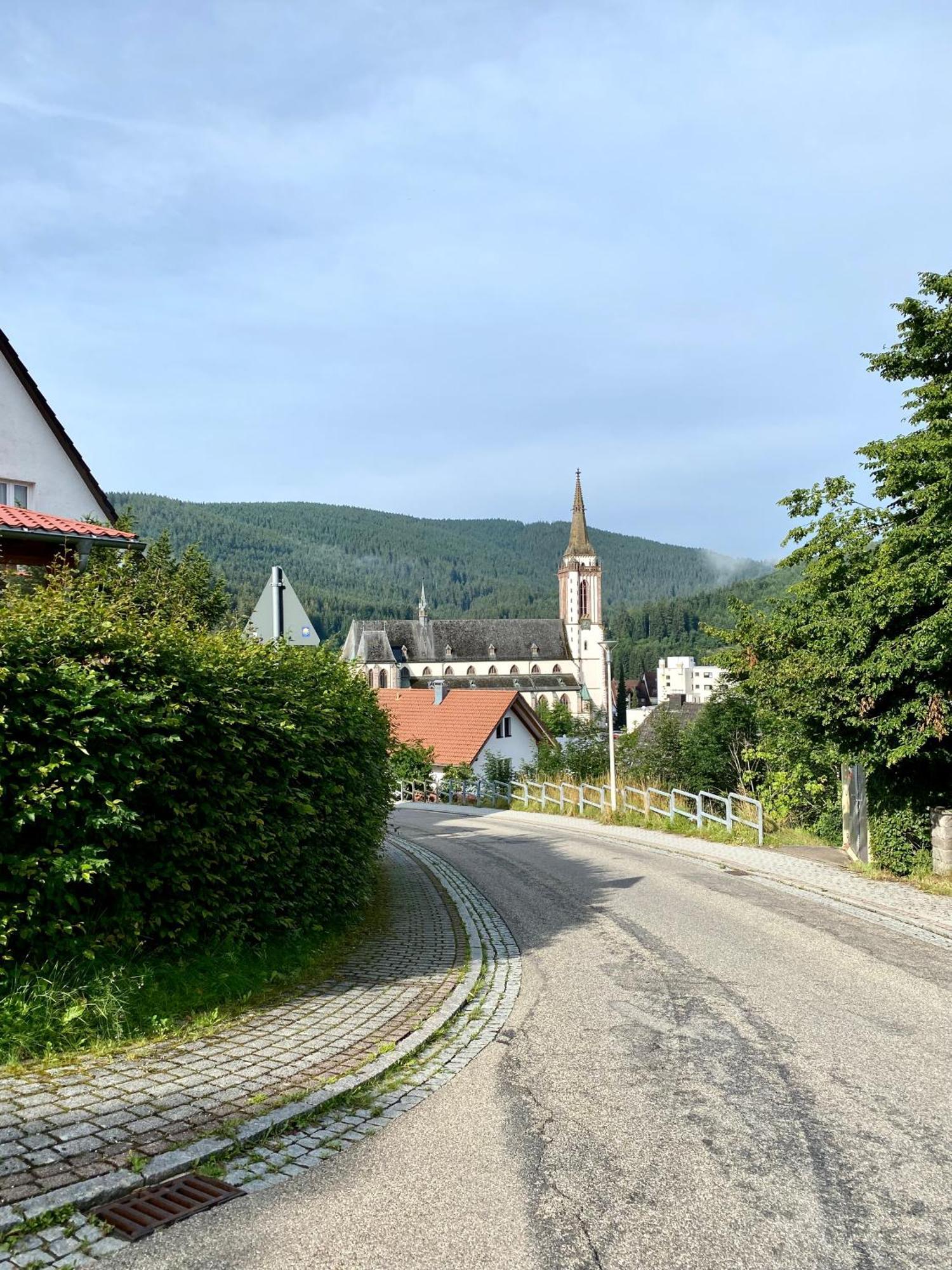 Exklusive 82 Qm Loftwohnung Mit Tiefgarage Und Sued-Balkon Zentral Titisee-Neustadt Luaran gambar